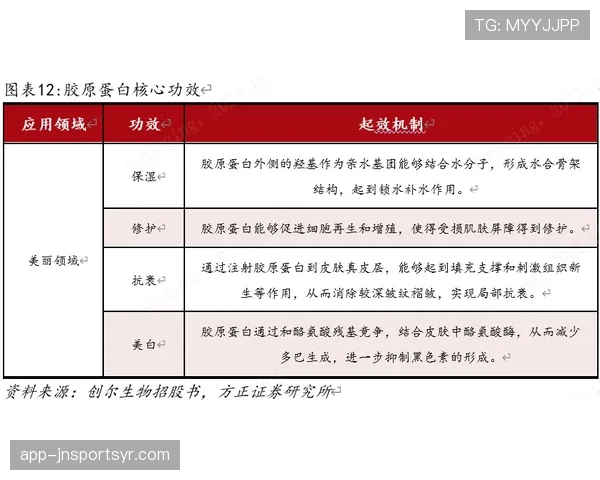 杜埃成长兑现度与实战表现分析